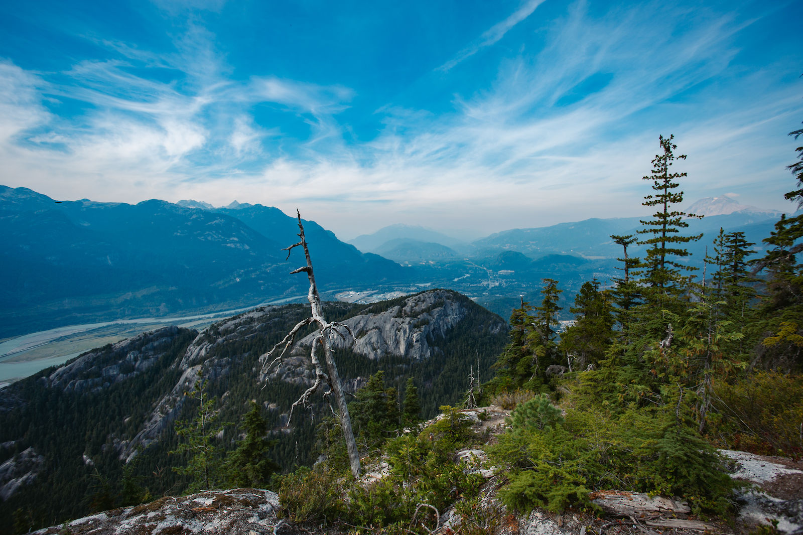 Sea to Sky Gondola Panorama Trail