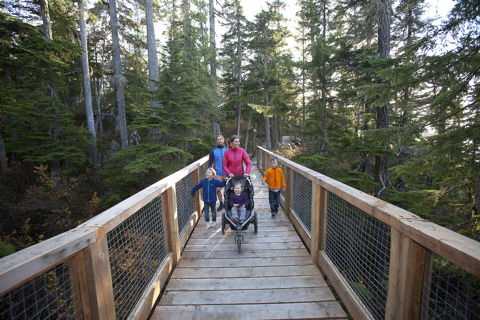 Sea to Sky Gondola Panorama Trail