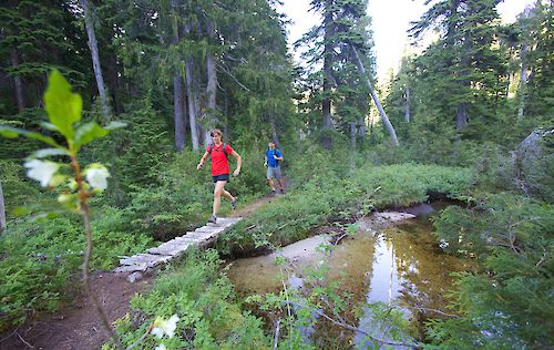 Shannon Basin Loop
