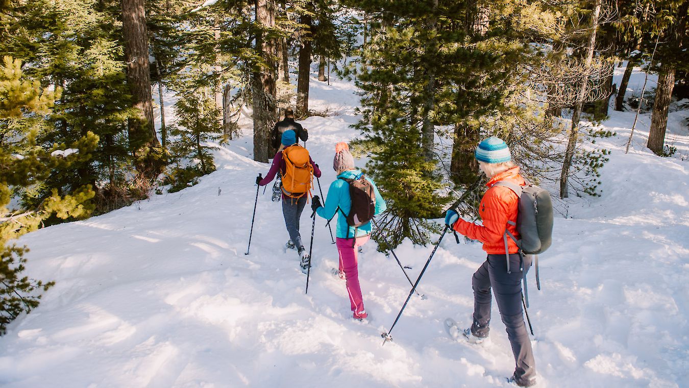 Snowshoeing in Squamish Sea to Sky Gondola