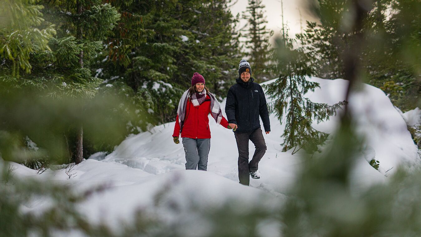 Sea to Sky Gondola Winter Walking