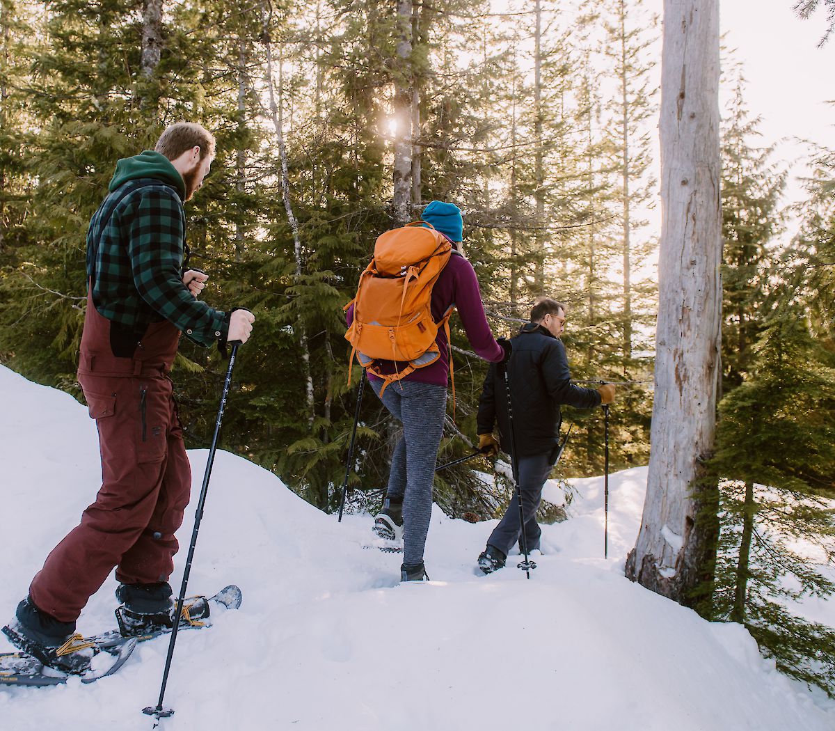 snowshoe in snow
