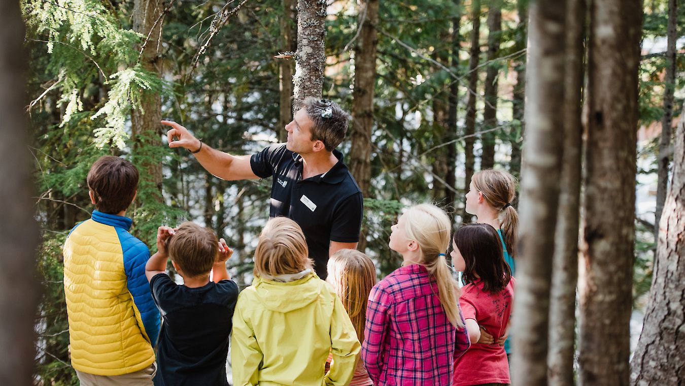 Sea to Sky Gondola School Programs