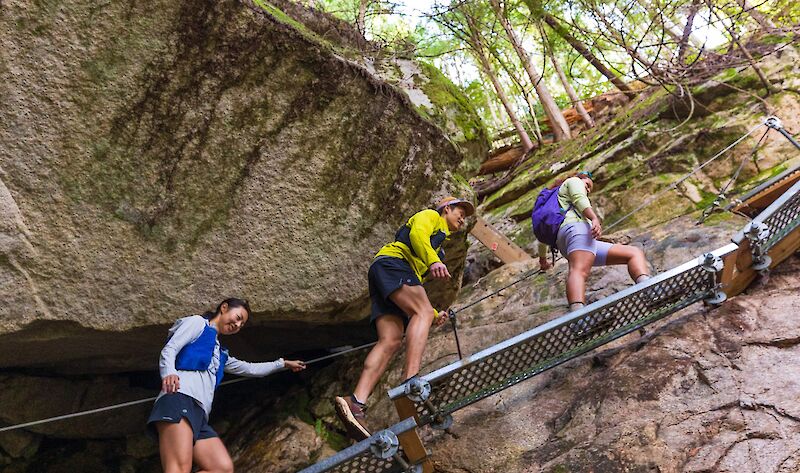 Challenge yourself on the Climb trail, which is part of the Rise+Climb Hike Series