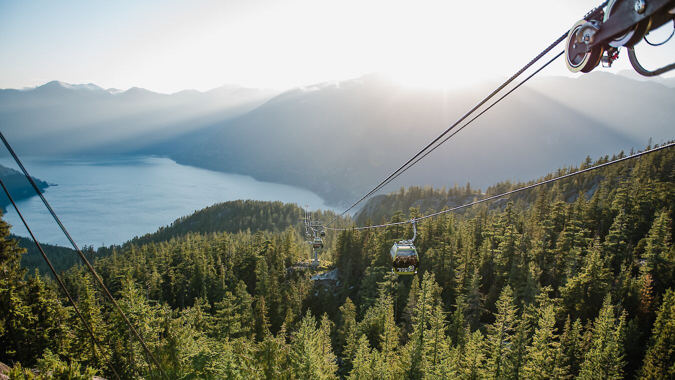 Annual Pass Pricing One pass, a year of unlimited experiences.